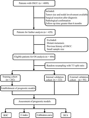 Derivation and Validation of a Prognostic Scoring Model Based on Clinical and Pathological Features for Risk Stratification in Oral Squamous Cell Carcinoma Patients: A Retrospective Multicenter Study